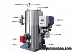 燃油气生物质两用蒸汽发生器